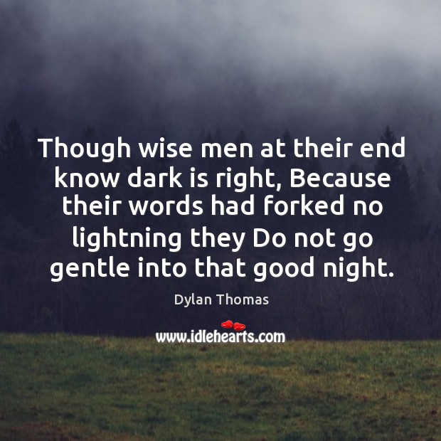 Though wise men at their end know dark is right, Because their Good Night Quotes Image