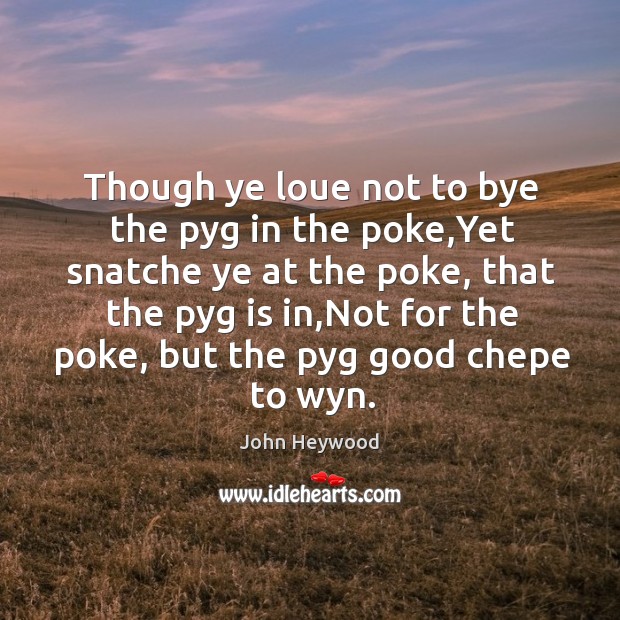 Though ye loue not to bye the pyg in the poke,Yet John Heywood Picture Quote
