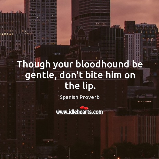 Though your bloodhound be gentle, don’t bite him on the lip. Spanish Proverbs Image