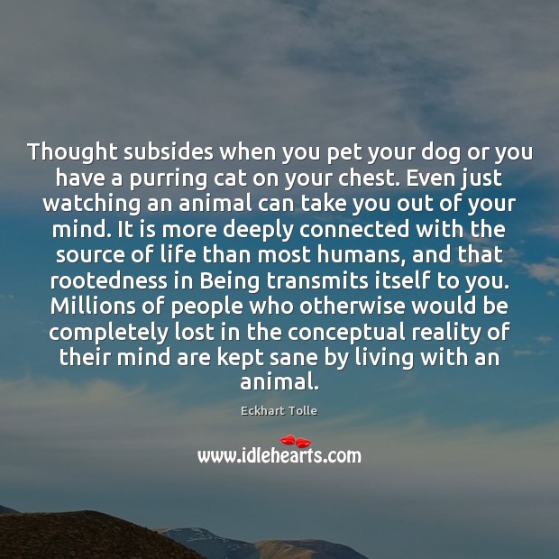 Thought subsides when you pet your dog or you have a purring Image