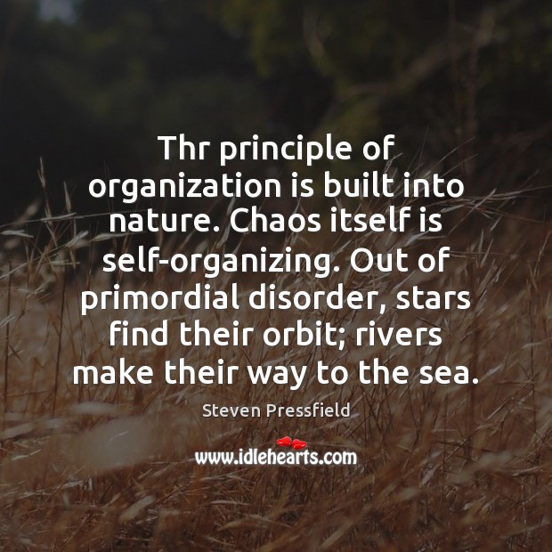 Thr principle of organization is built into nature. Chaos itself is self-organizing. Steven Pressfield Picture Quote