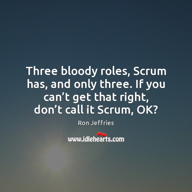 Three bloody roles, Scrum has, and only three. If you can’t Ron Jeffries Picture Quote