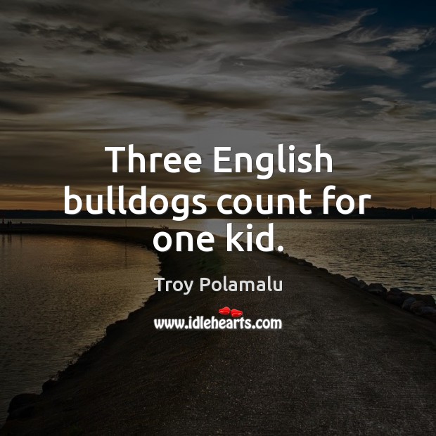 Three English bulldogs count for one kid. Troy Polamalu Picture Quote