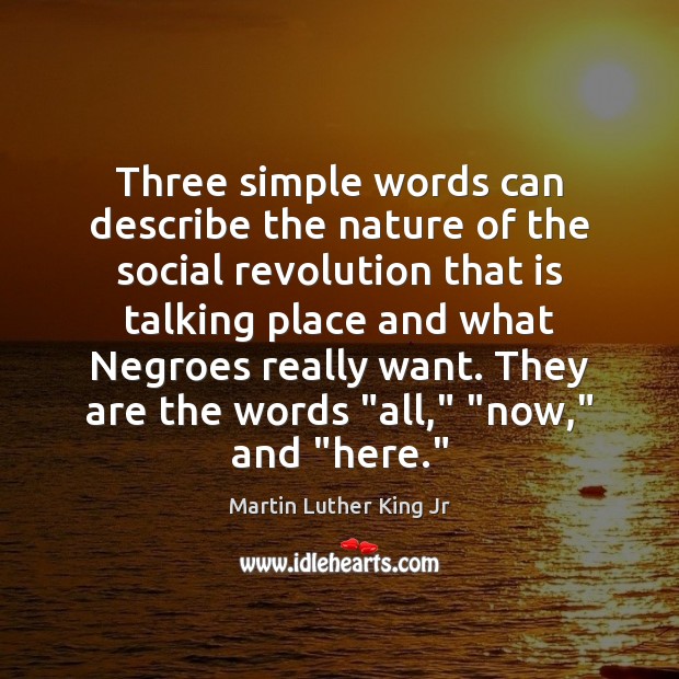 Three simple words can describe the nature of the social revolution that Martin Luther King Jr Picture Quote