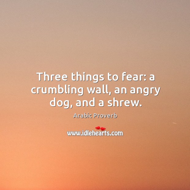 Three things to fear: a crumbling wall, an angry dog, and a shrew. Image