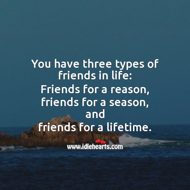 Three types of friends in life. Friendship Quotes Image