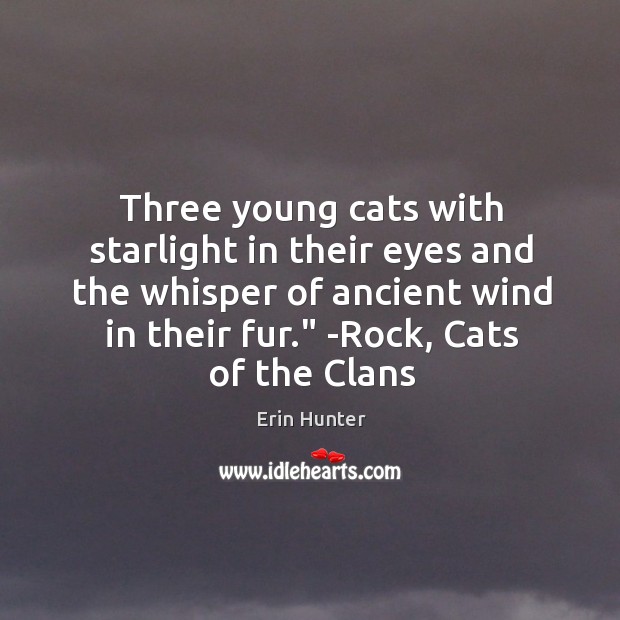 Three young cats with starlight in their eyes and the whisper of Erin Hunter Picture Quote