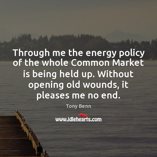 Through me the energy policy of the whole Common Market is being Tony Benn Picture Quote