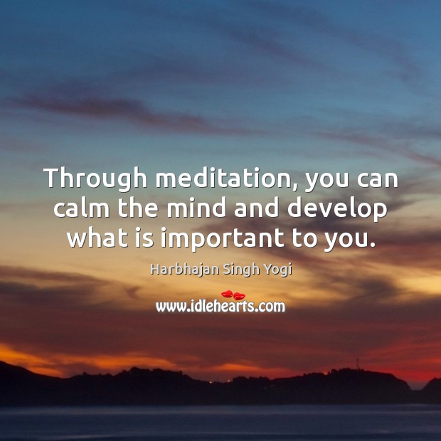 Through meditation, you can calm the mind and develop what is important to you. Image