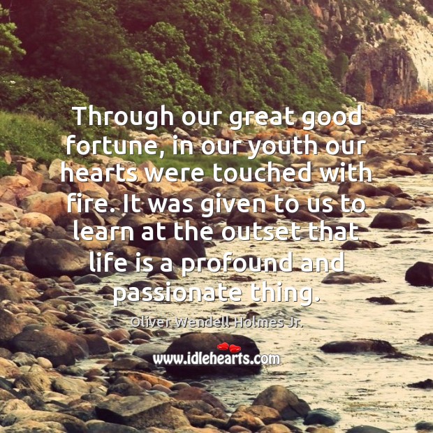 Through our great good fortune, in our youth our hearts were touched Oliver Wendell Holmes Jr. Picture Quote