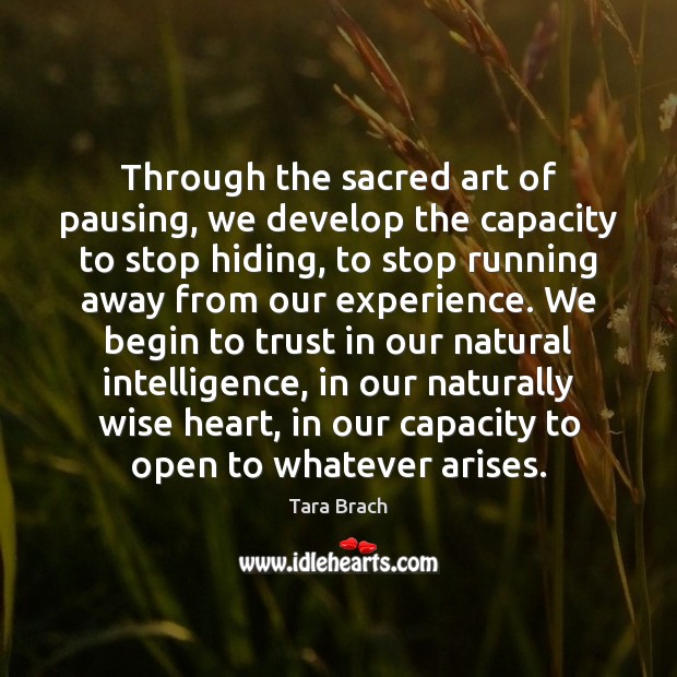 Through the sacred art of pausing, we develop the capacity to stop Tara Brach Picture Quote