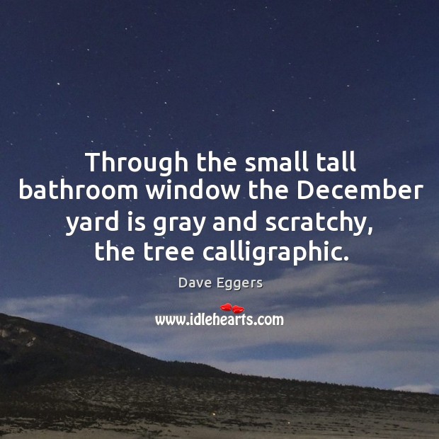 Through the small tall bathroom window the december yard is gray and scratchy, the tree calligraphic. Dave Eggers Picture Quote