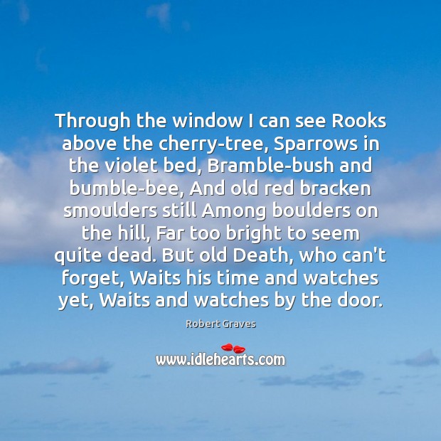 Through the window I can see Rooks above the cherry-tree, Sparrows in Image
