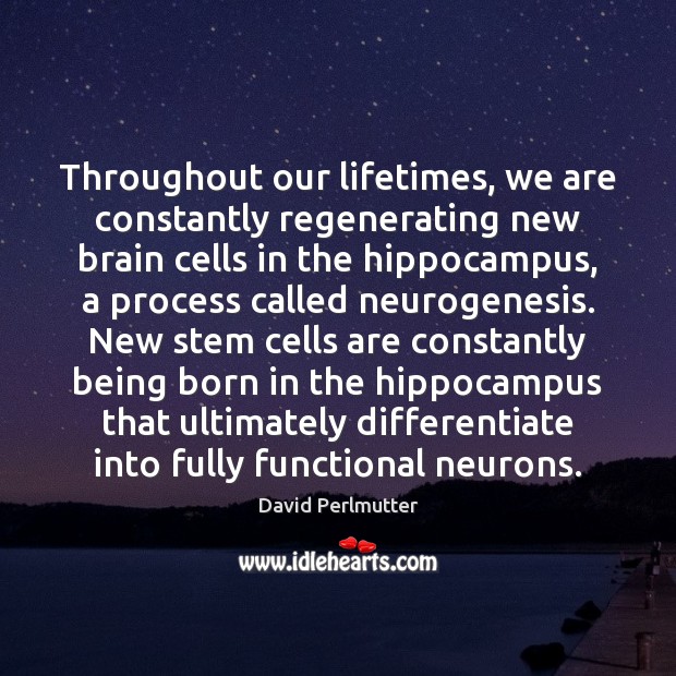 Throughout our lifetimes, we are constantly regenerating new brain cells in the Image