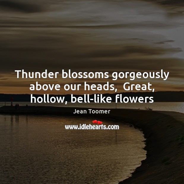Thunder blossoms gorgeously above our heads,  Great, hollow, bell-like flowers Jean Toomer Picture Quote