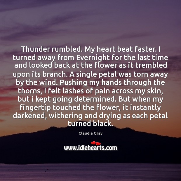 Thunder rumbled. My heart beat faster. I turned away from Evernight for Image