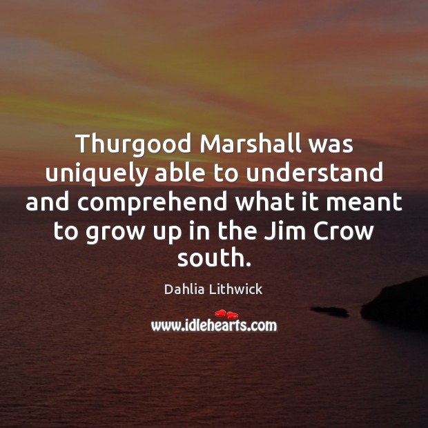 Thurgood Marshall was uniquely able to understand and comprehend what it meant Image