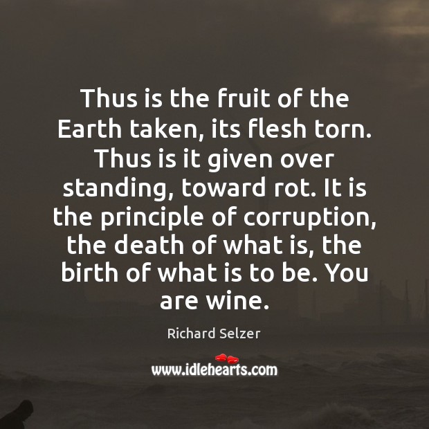 Thus is the fruit of the Earth taken, its flesh torn. Thus Richard Selzer Picture Quote