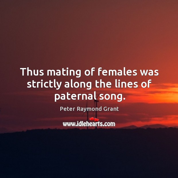 Thus mating of females was strictly along the lines of paternal song. Peter Raymond Grant Picture Quote
