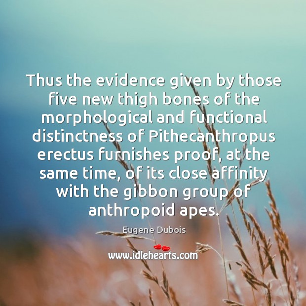 Thus the evidence given by those five new thigh bones of the Image