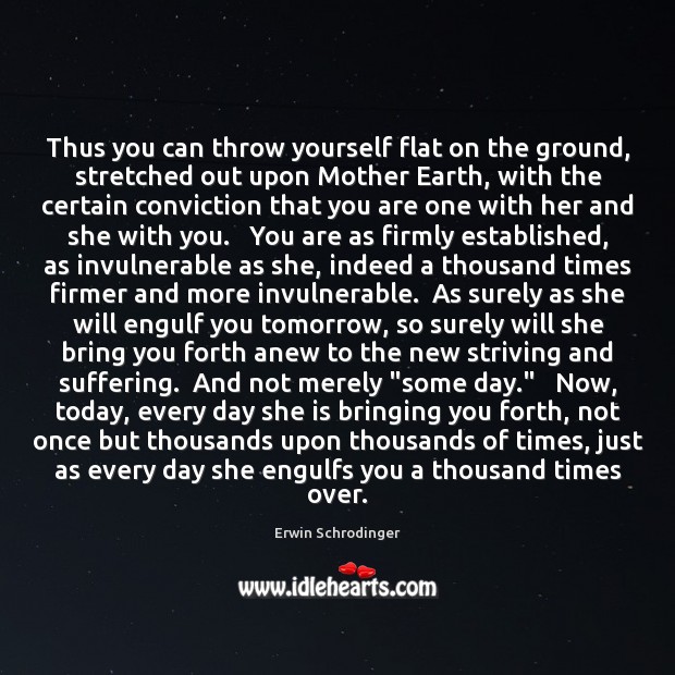 Thus you can throw yourself flat on the ground, stretched out upon Erwin Schrodinger Picture Quote