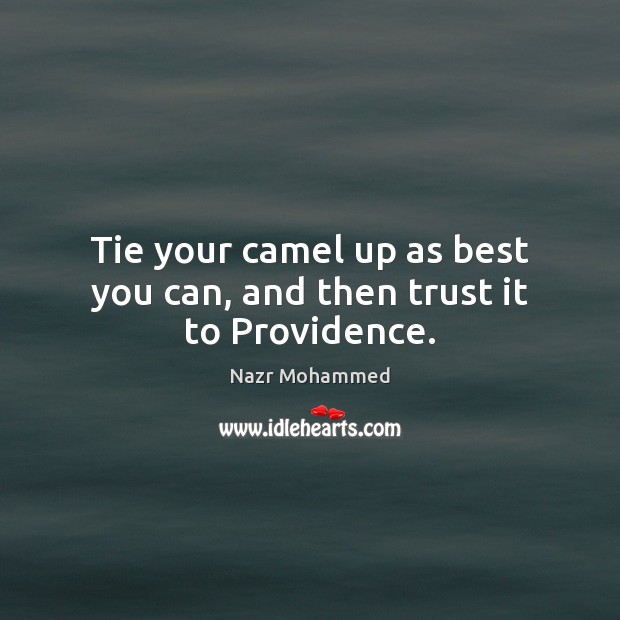 Tie your camel up as best you can, and then trust it to Providence. Nazr Mohammed Picture Quote