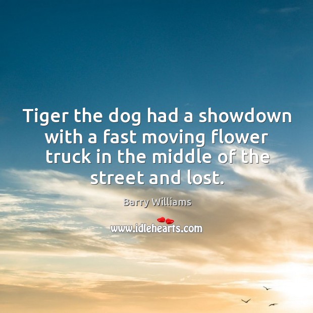 Tiger the dog had a showdown with a fast moving flower truck in the middle of the street and lost. Barry Williams Picture Quote