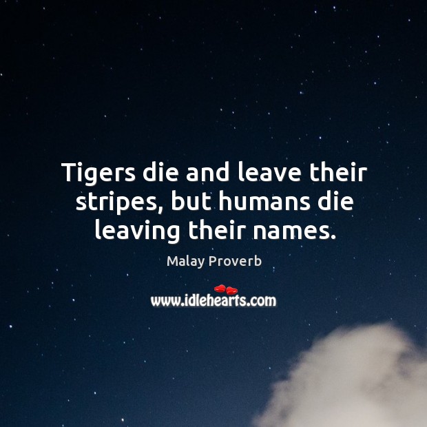 Tigers die and leave their stripes, but humans die leaving their names. Malay Proverbs Image