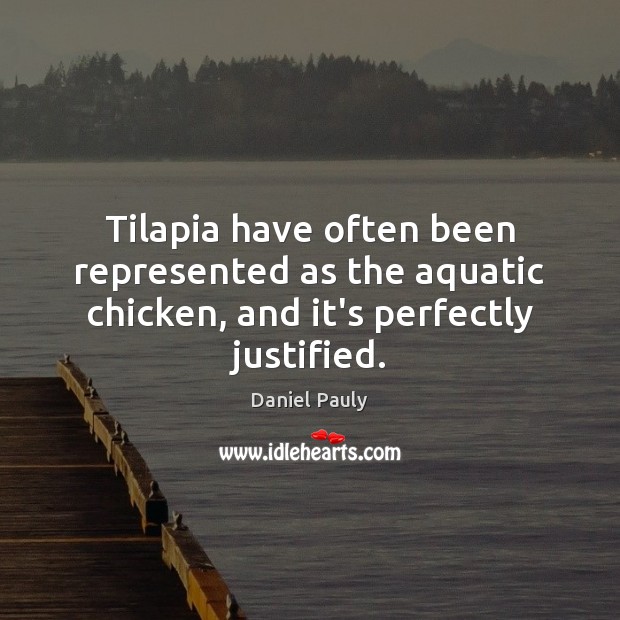 Tilapia have often been represented as the aquatic chicken, and it’s perfectly justified. Daniel Pauly Picture Quote