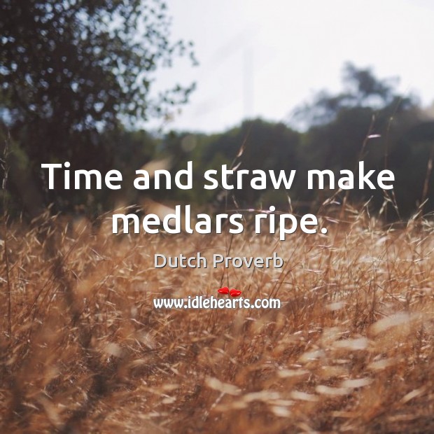 Time and straw make medlars ripe. Image