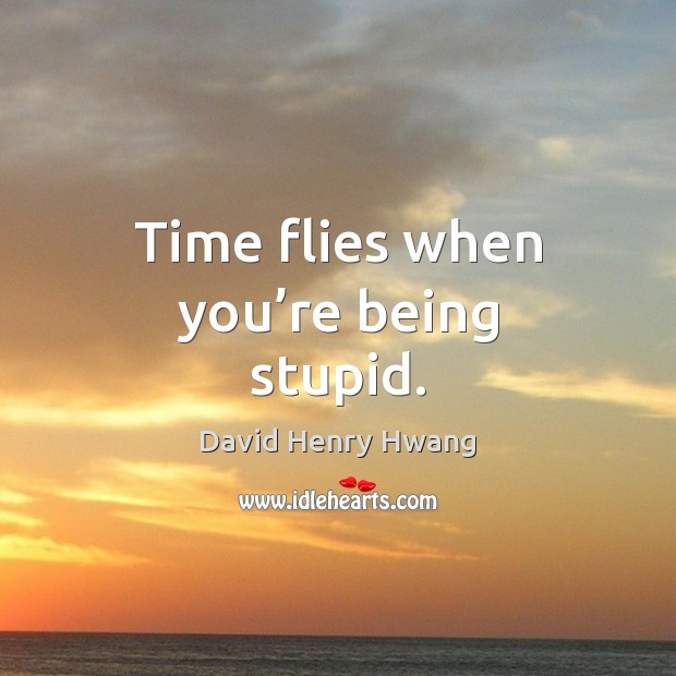 Time flies when you’re being stupid. David Henry Hwang Picture Quote