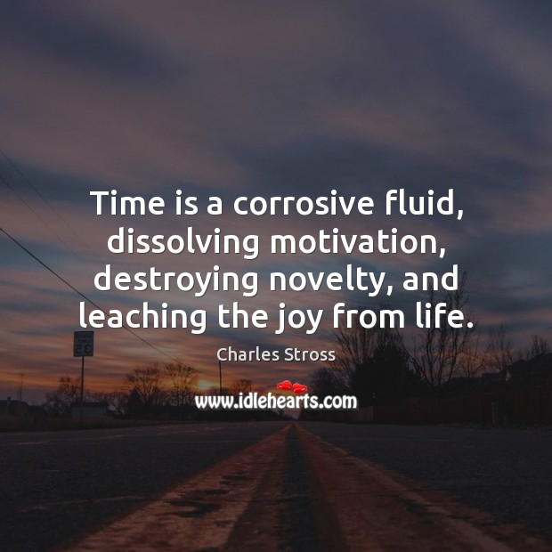 Time is a corrosive fluid, dissolving motivation, destroying novelty, and leaching the Image