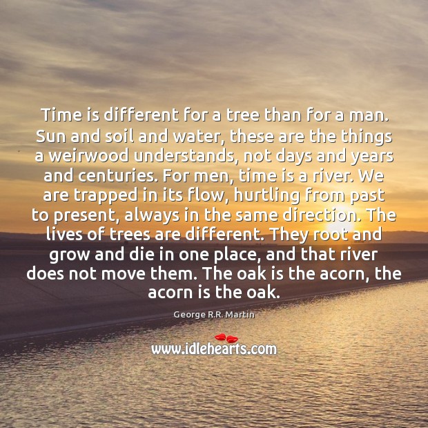 Time is different for a tree than for a man. Sun and Time Quotes Image