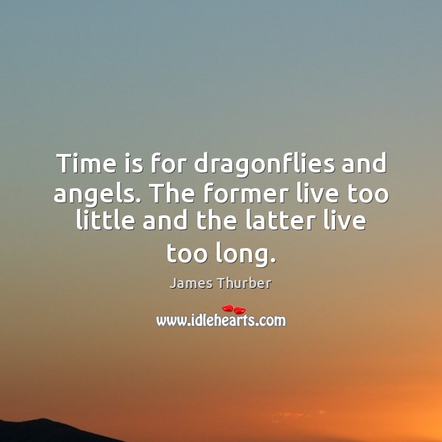 Time is for dragonflies and angels. The former live too little and James Thurber Picture Quote