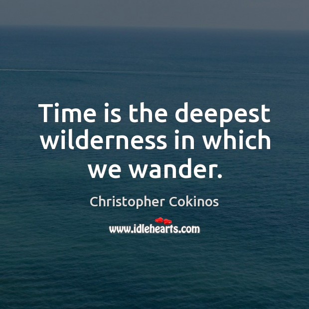 Time is the deepest wilderness in which we wander. Christopher Cokinos Picture Quote