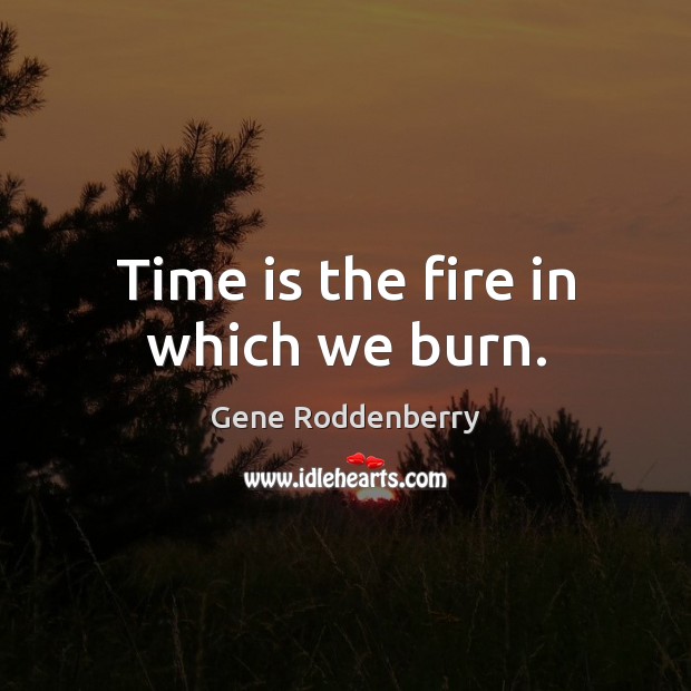 Time is the fire in which we burn. Gene Roddenberry Picture Quote