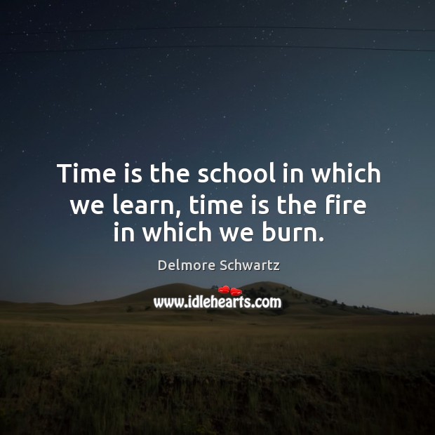 Time is the school in which we learn, time is the fire in which we burn. Delmore Schwartz Picture Quote