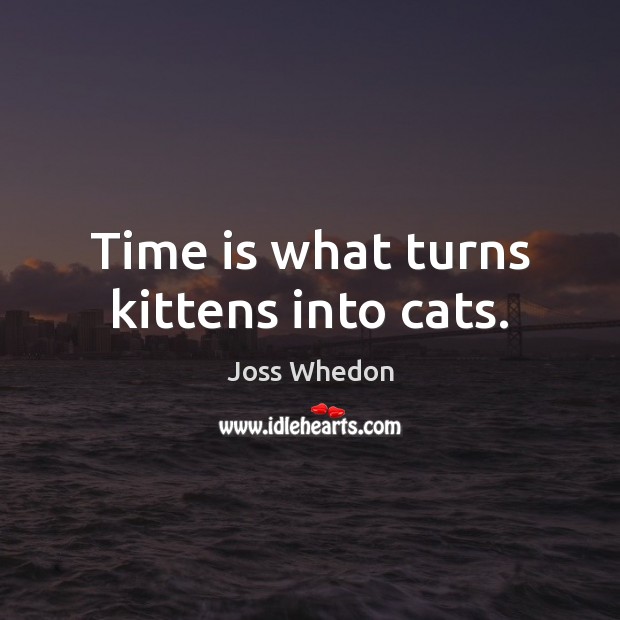 Time is what turns kittens into cats. Joss Whedon Picture Quote