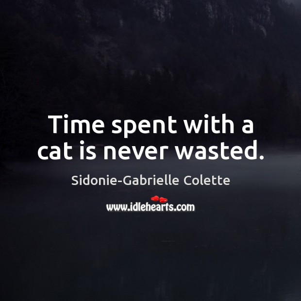 Time spent with a cat is never wasted. Image