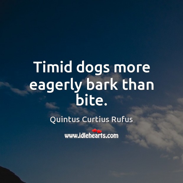 Timid dogs more eagerly bark than bite. Image