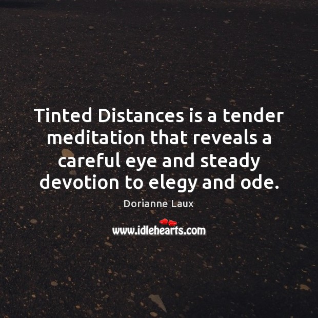Tinted Distances is a tender meditation that reveals a careful eye and Dorianne Laux Picture Quote