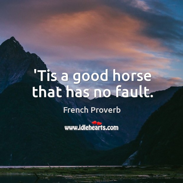 ’tis a good horse that has no fault. French Proverbs Image
