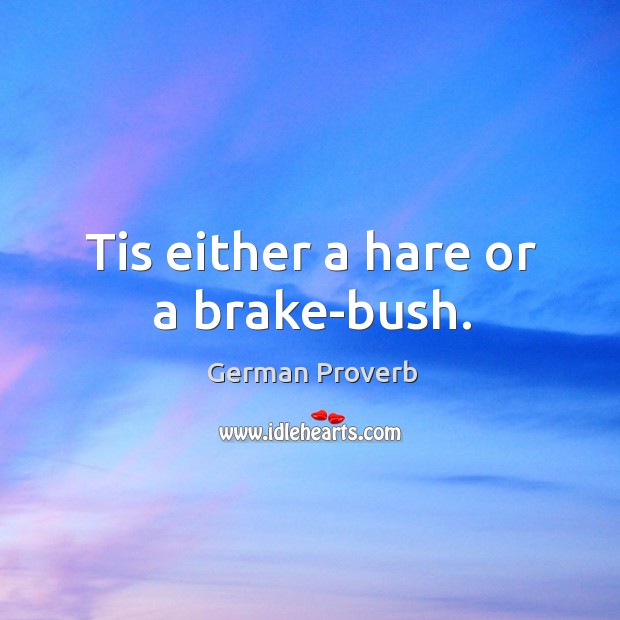 Tis either a hare or a brake-bush. German Proverbs Image