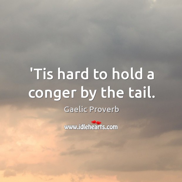 ’tis hard to hold a conger by the tail. Gaelic Proverbs Image