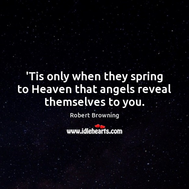 ‘Tis only when they spring to Heaven that angels reveal themselves to you. Image