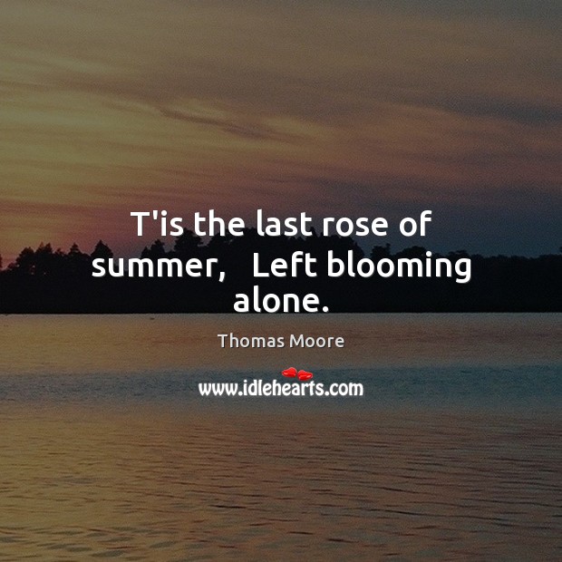 T’is the last rose of summer,   Left blooming alone. Thomas Moore Picture Quote