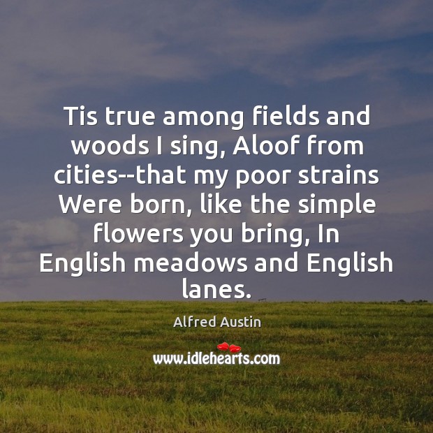 Tis true among fields and woods I sing, Aloof from cities–that my Alfred Austin Picture Quote