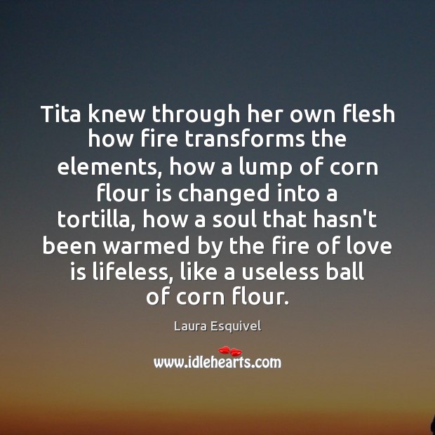 Tita knew through her own flesh how fire transforms the elements, how Image
