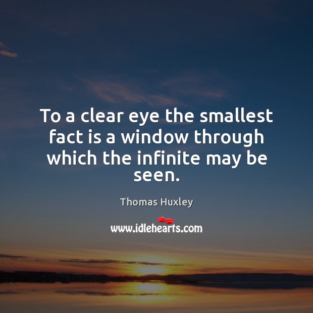 To a clear eye the smallest fact is a window through which the infinite may be seen. Image