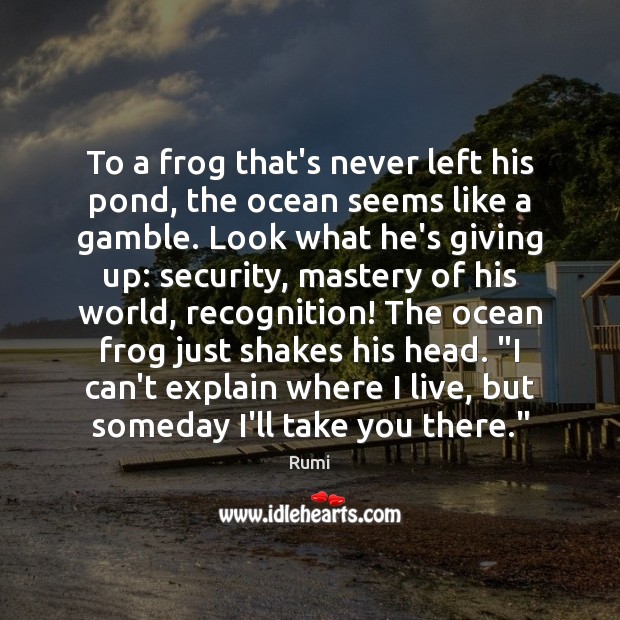 To a frog that’s never left his pond, the ocean seems like Image